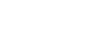 website design company Raleigh | Content Strategy Company Raleigh | Content Strategy Company RTP | Content Strategy Company Durham | Content Strategy Company Greensboro | Content Strategy Cary