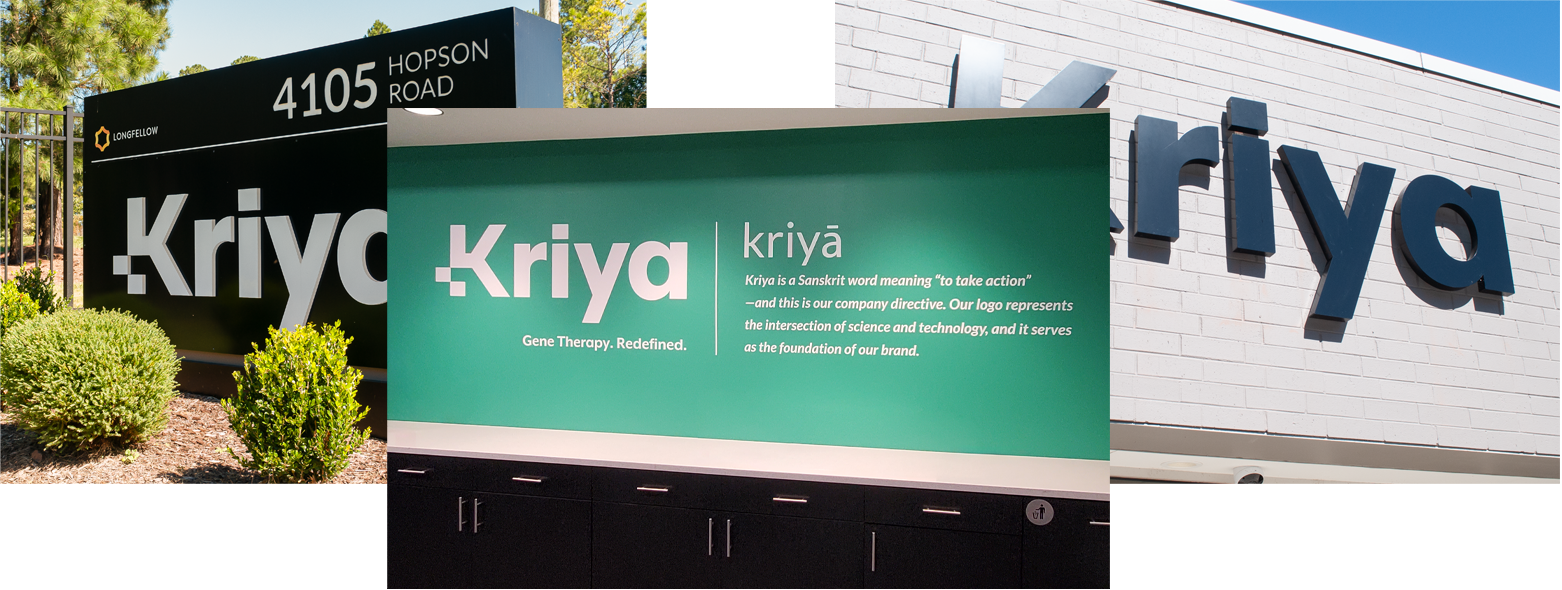 kryia Environmental Branding