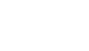 Best Illustrators Raleigh
